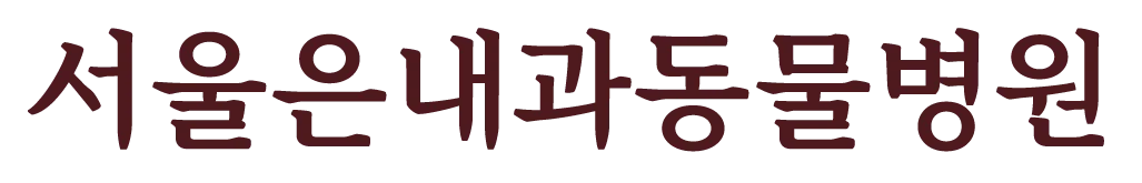 서울은내과 동물병원